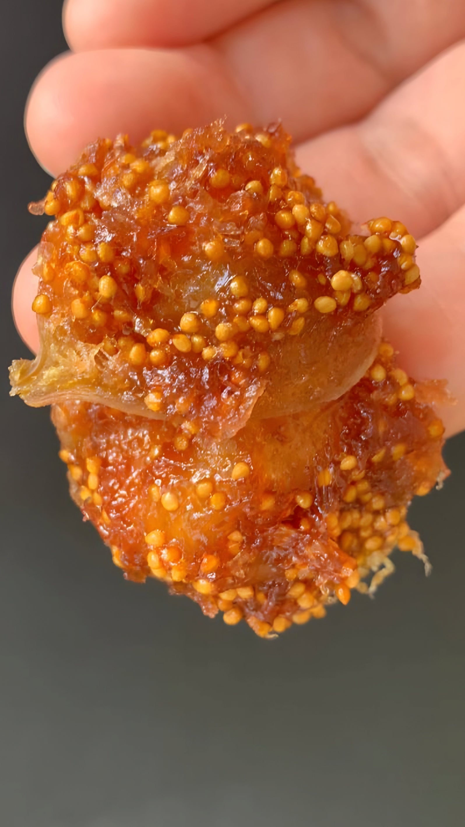 تين مجفف جودة ممتازة